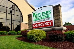 Critical Care Veterinarian West Park Animal Hospital