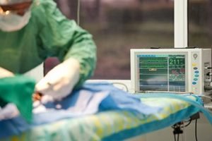 Veterinarian performing an operation in an animal hospital