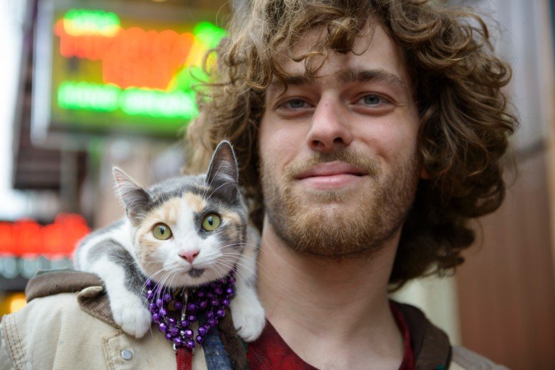 Cat sitting on man's shoulder
