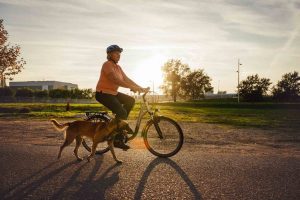 A person riding a bike with a dog